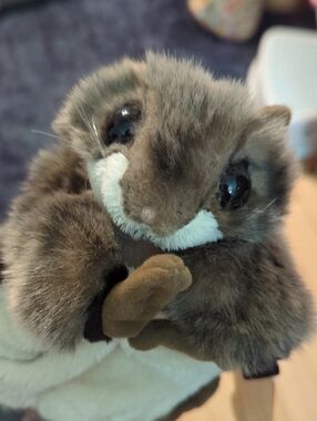 Folkmanis Flying Squirrel Hand Puppet - Nwt